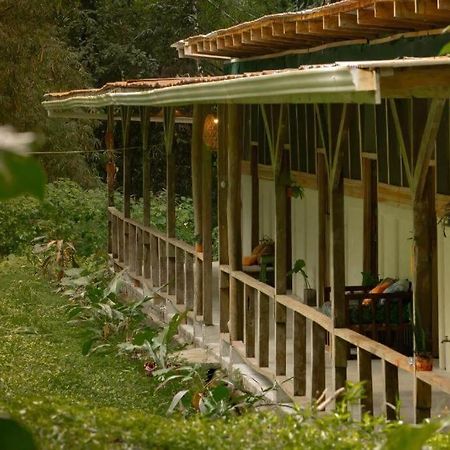 Smile Jungle Hostel Puerto Viejo de Talamanca Ngoại thất bức ảnh