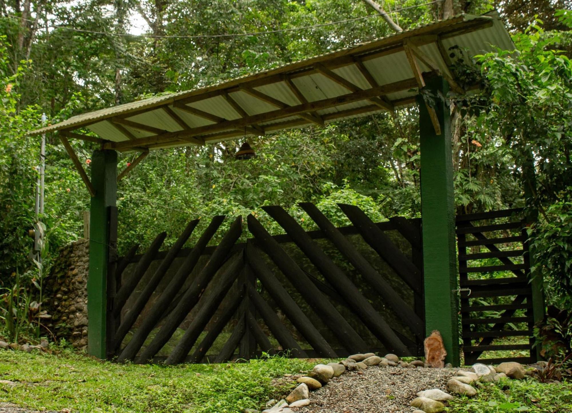 Smile Jungle Hostel Puerto Viejo de Talamanca Ngoại thất bức ảnh