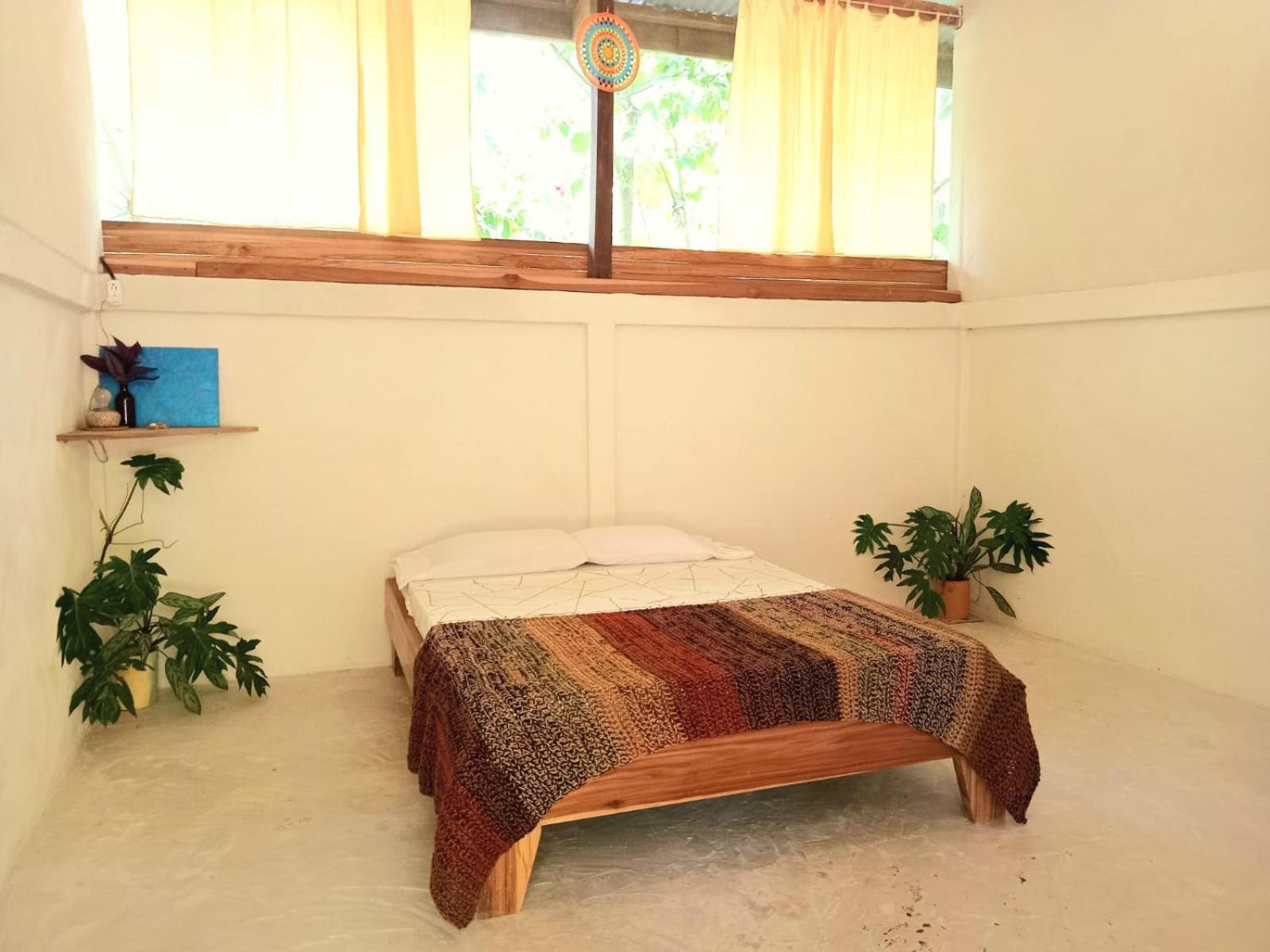 Smile Jungle Hostel Puerto Viejo de Talamanca Phòng bức ảnh