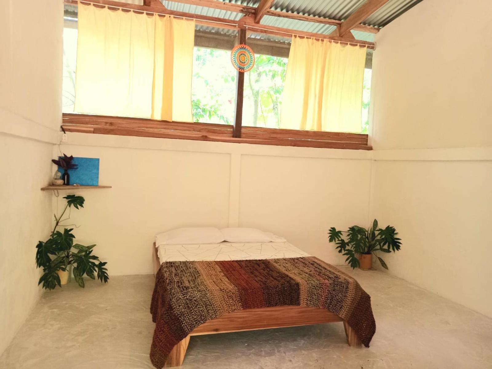 Smile Jungle Hostel Puerto Viejo de Talamanca Ngoại thất bức ảnh
