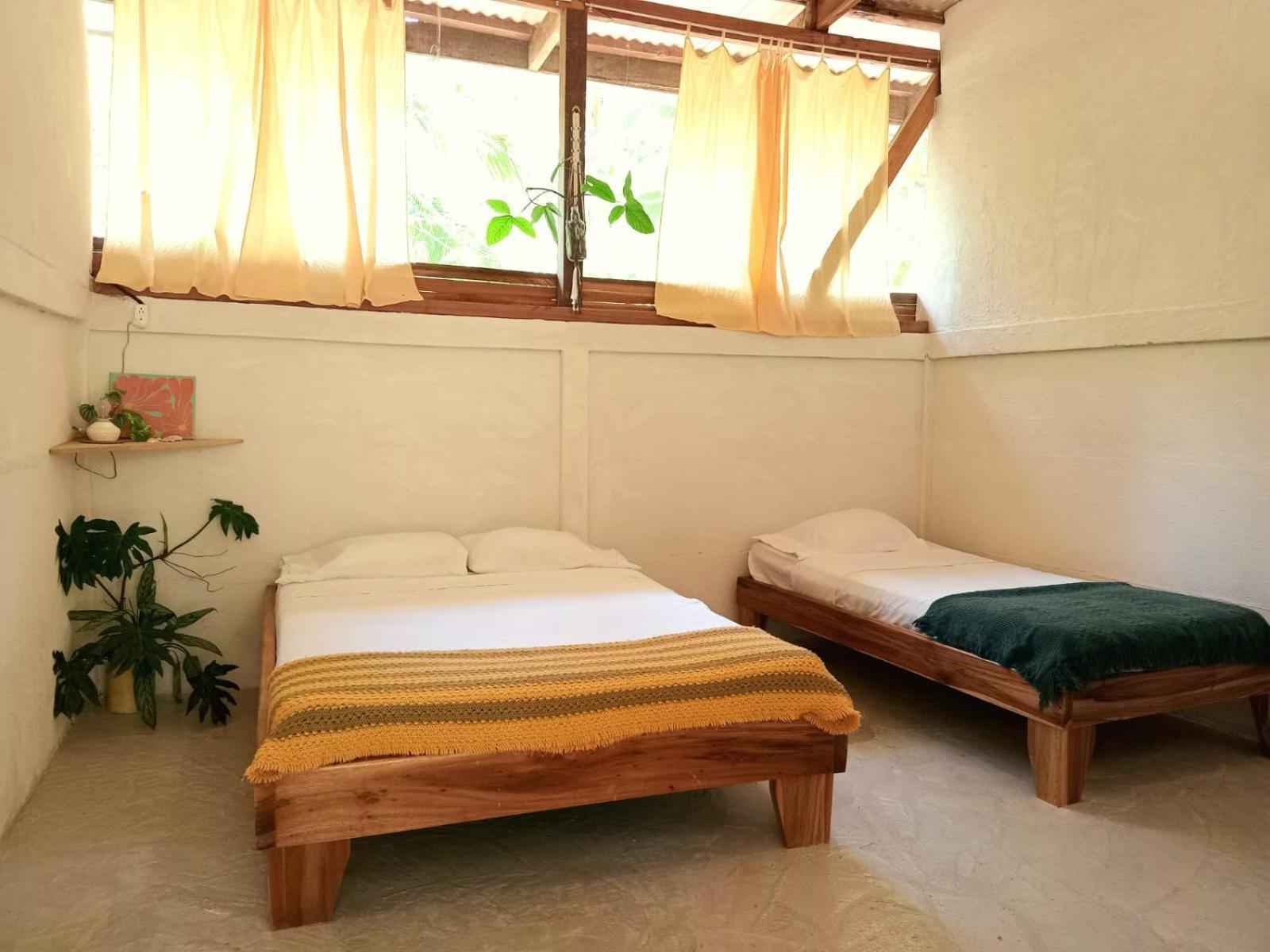 Smile Jungle Hostel Puerto Viejo de Talamanca Phòng bức ảnh