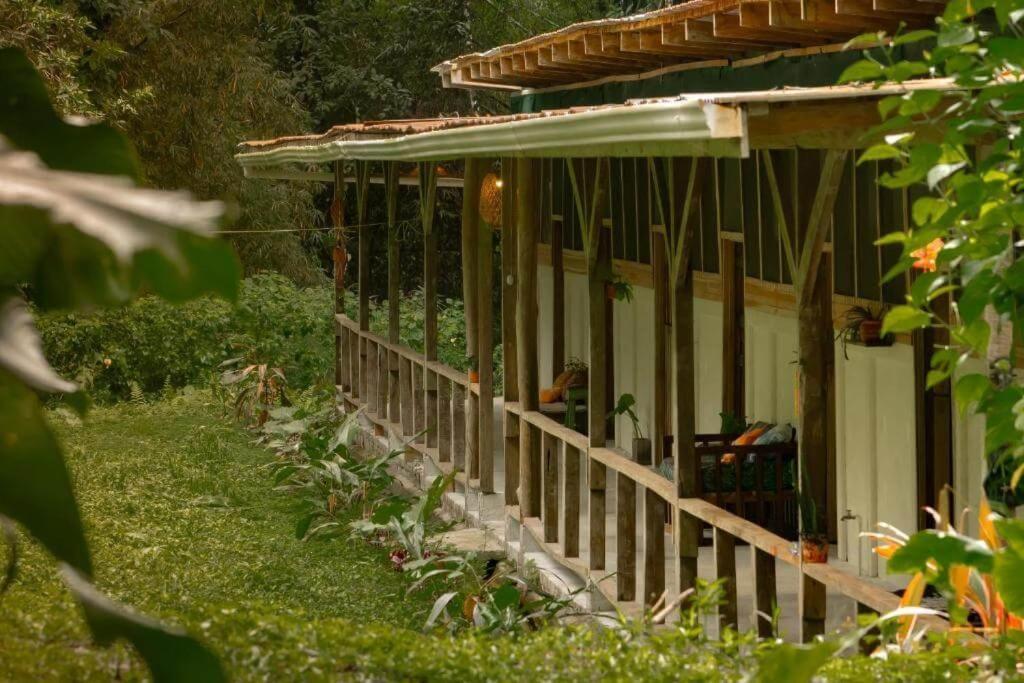 Smile Jungle Hostel Puerto Viejo de Talamanca Ngoại thất bức ảnh
