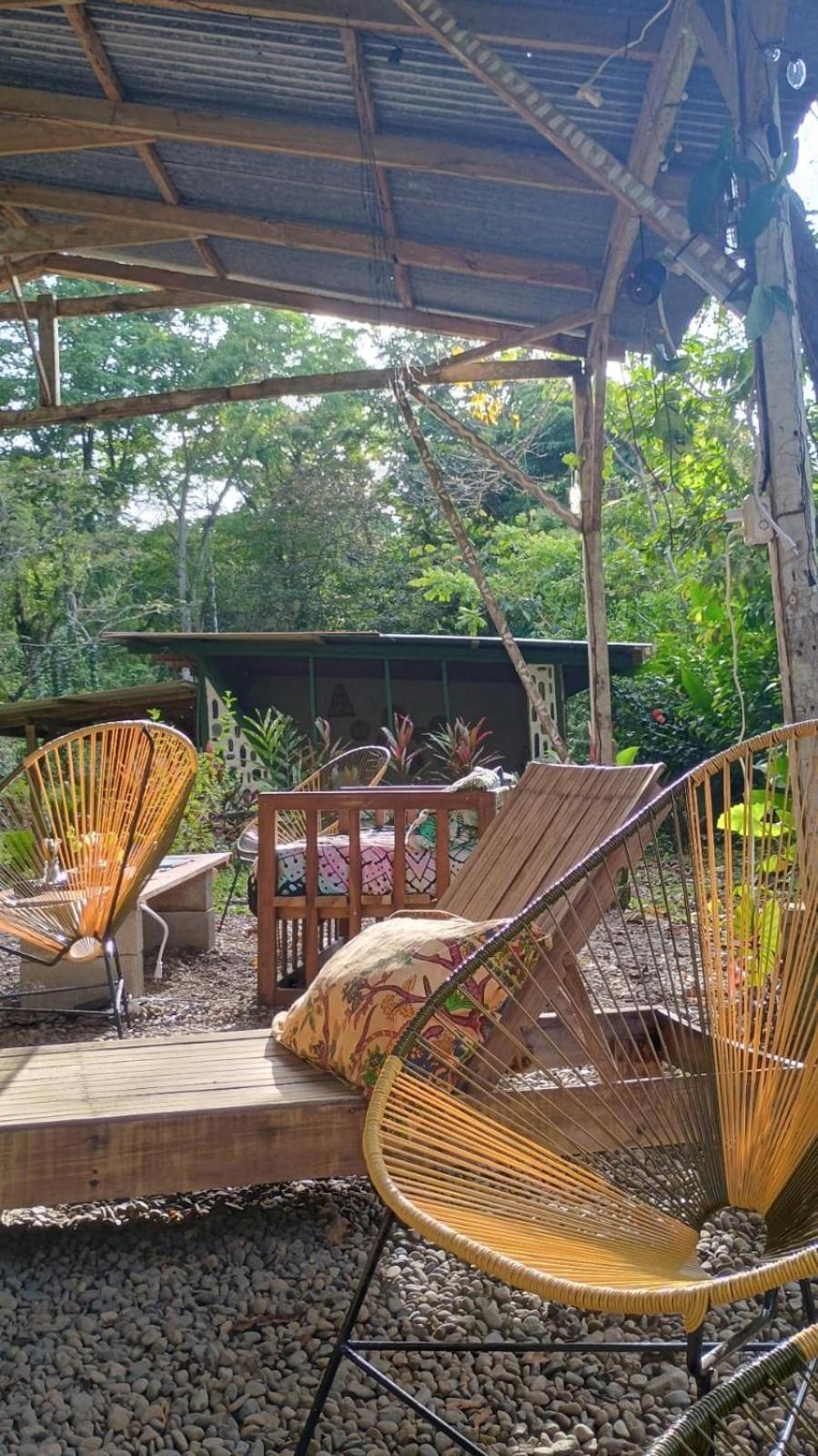 Smile Jungle Hostel Puerto Viejo de Talamanca Ngoại thất bức ảnh