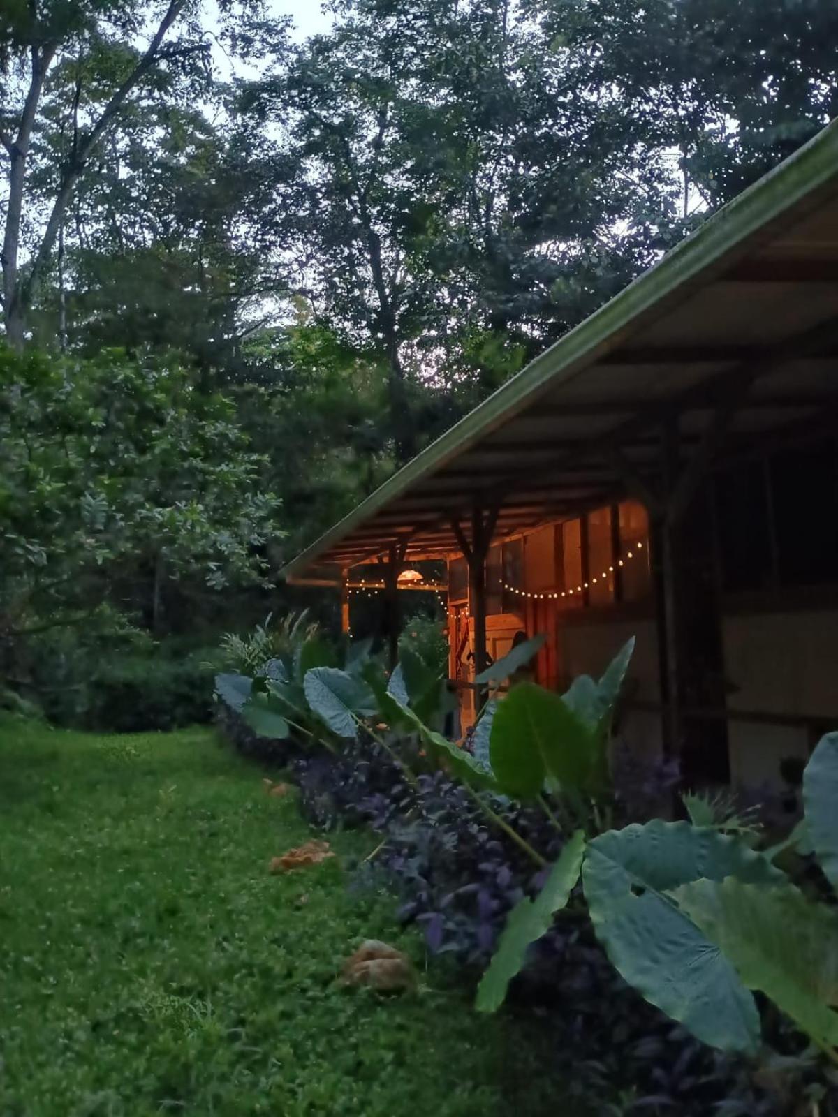 Smile Jungle Hostel Puerto Viejo de Talamanca Ngoại thất bức ảnh
