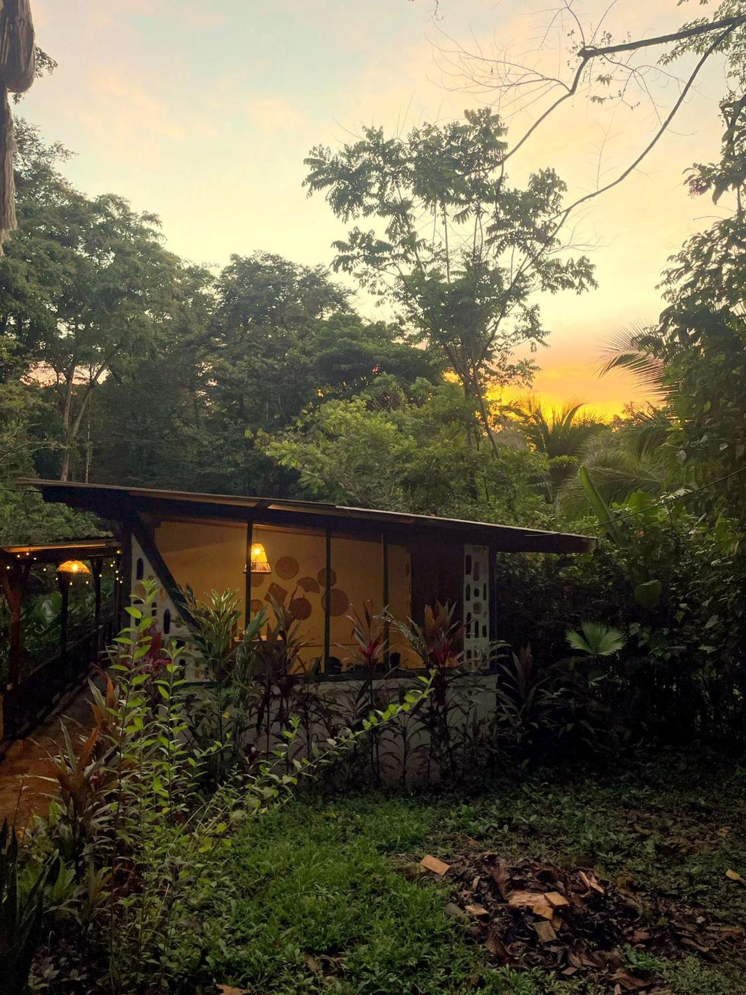 Smile Jungle Hostel Puerto Viejo de Talamanca Ngoại thất bức ảnh