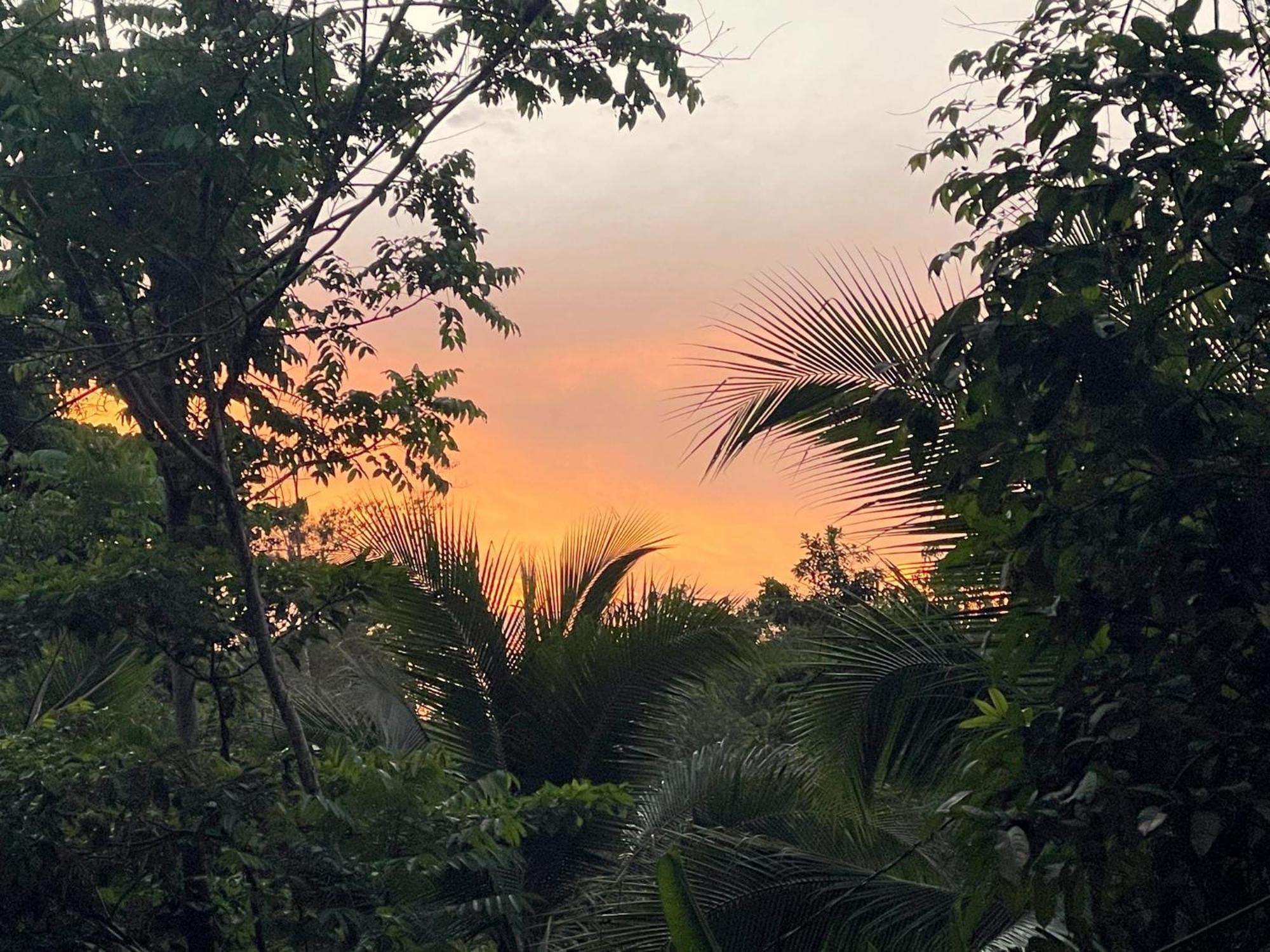 Smile Jungle Hostel Puerto Viejo de Talamanca Ngoại thất bức ảnh